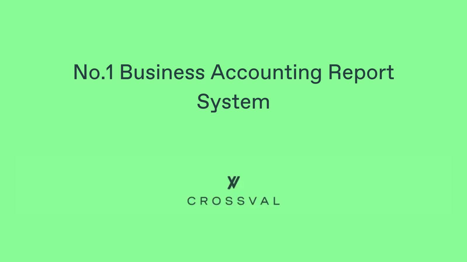 No.1 Business Accounting Report System