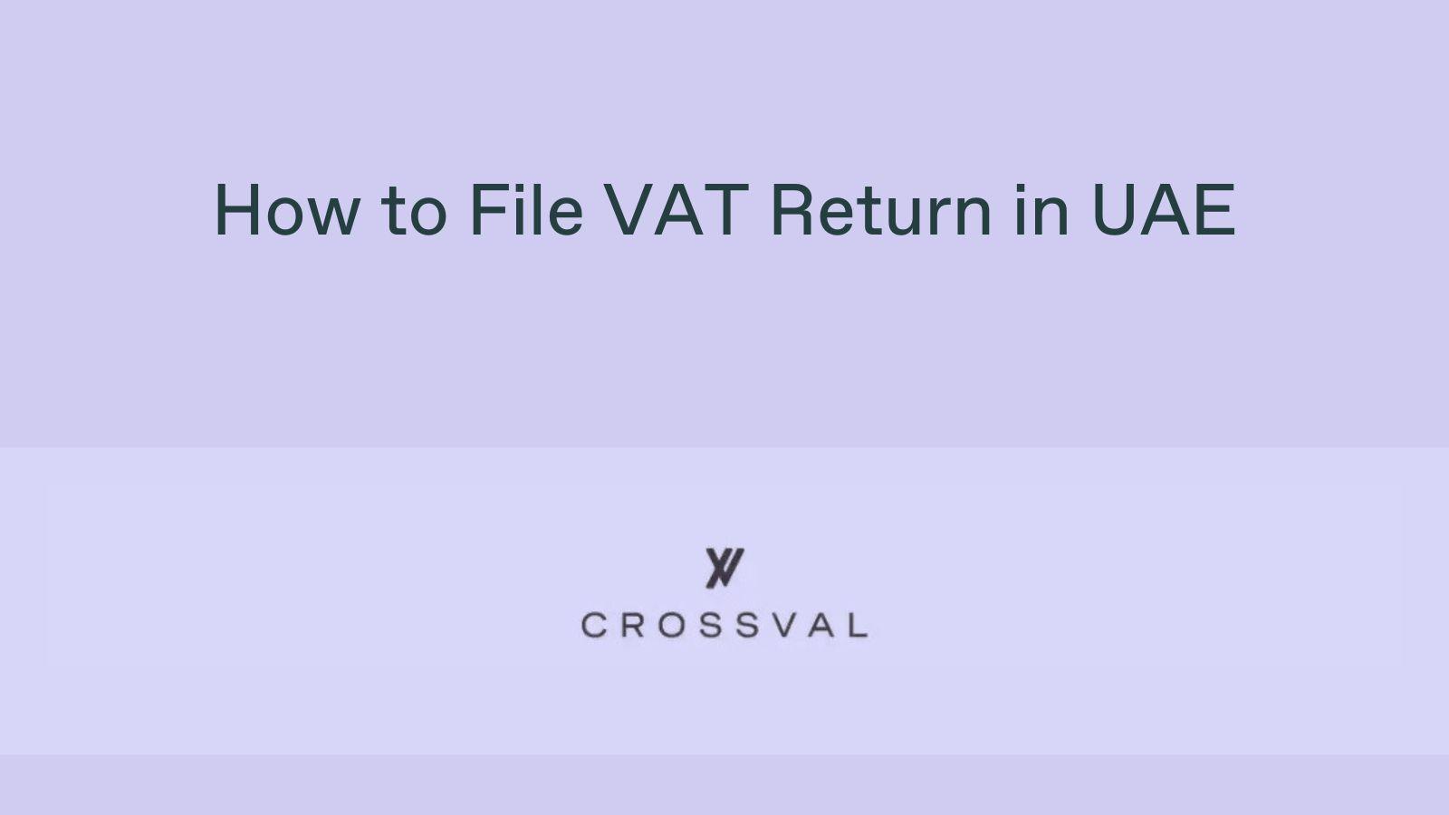 How to File VAT Return in UAE