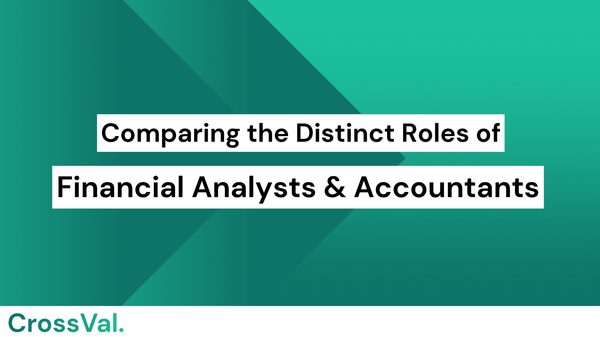 Financial accountant & analyst